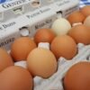 Chicken Eggs